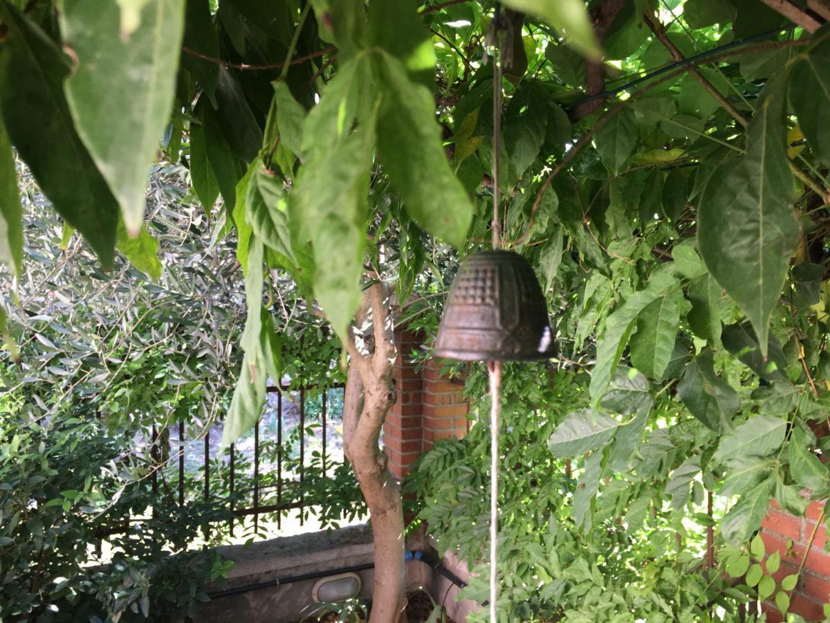 Una Casa Di Campagna Dossobuono Dış mekan fotoğraf