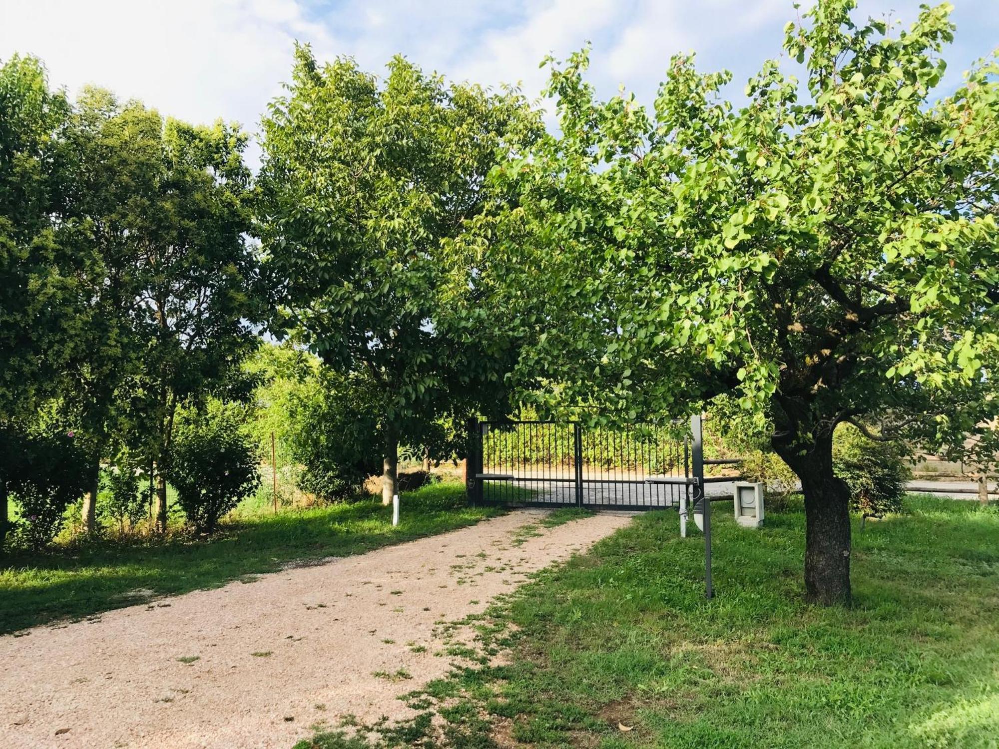 Una Casa Di Campagna Dossobuono Dış mekan fotoğraf